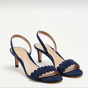 NIB Ann Taylor ‘Edina’ Scalloped Sandal Size 8.5